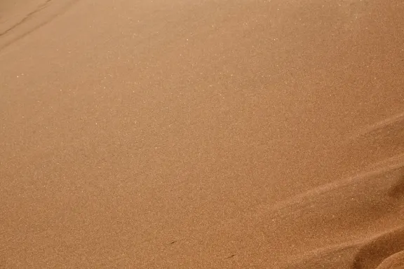 Casino Bingo Millionaire Ondersteuning